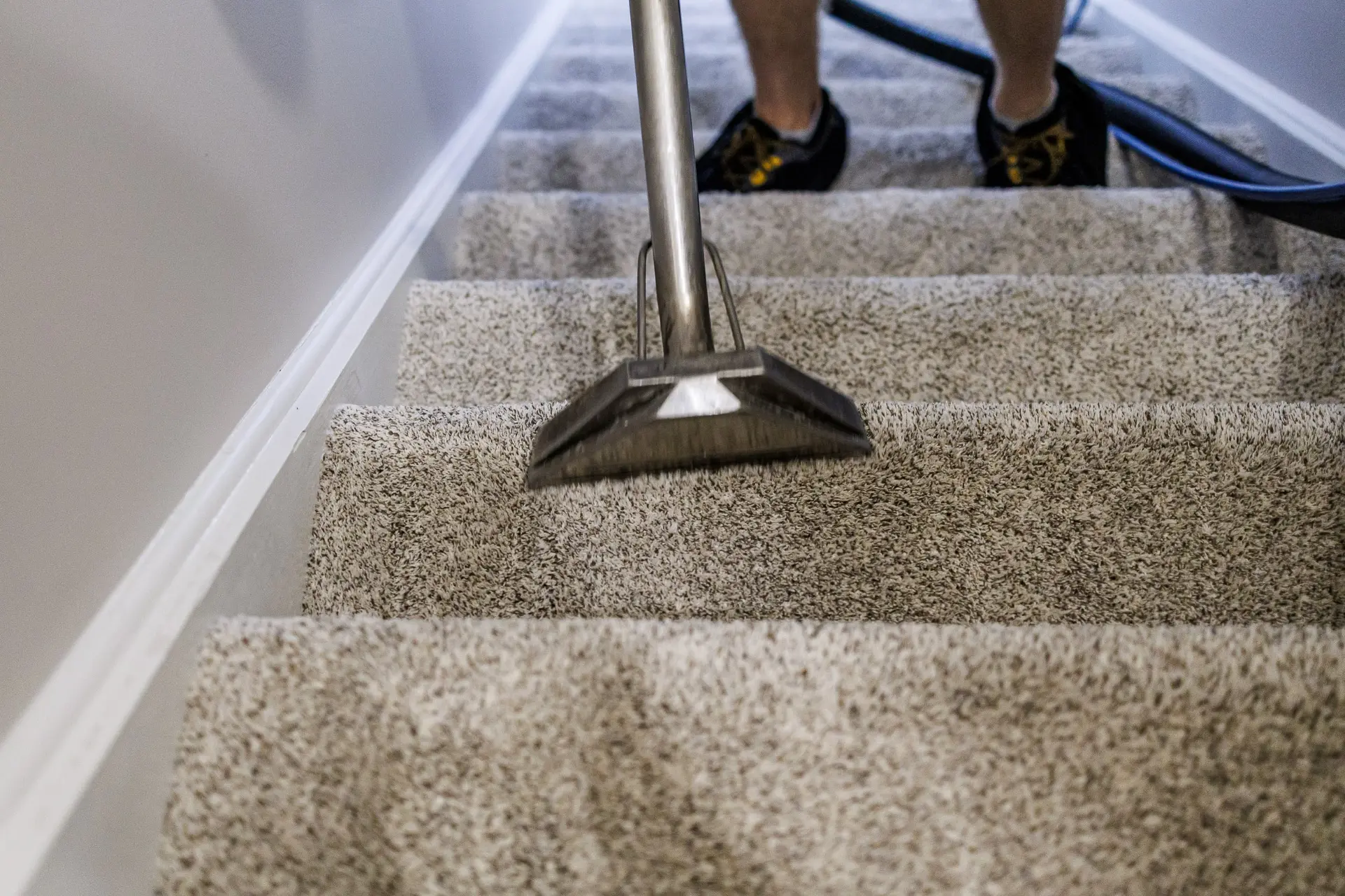 Carpet Cleaning
