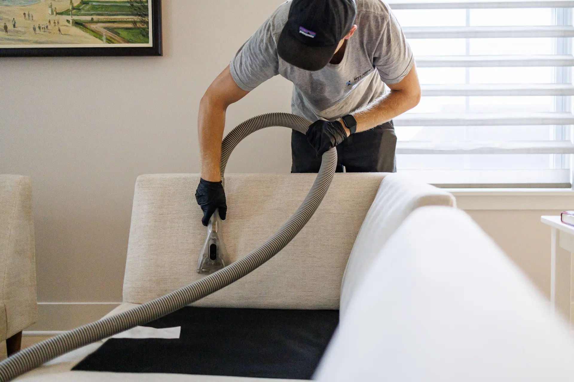 Upholstery Cleaning