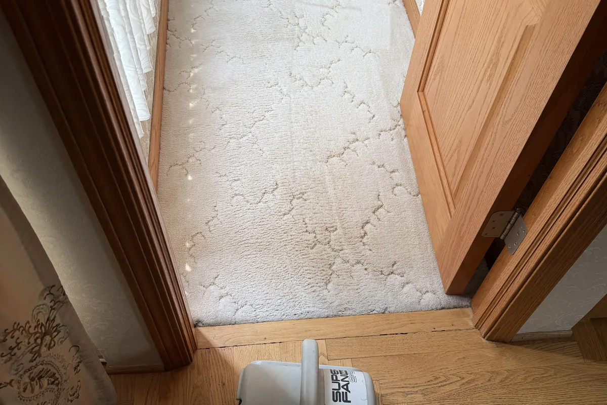 Clean carpet after professional cleaning in Clarendon Hills