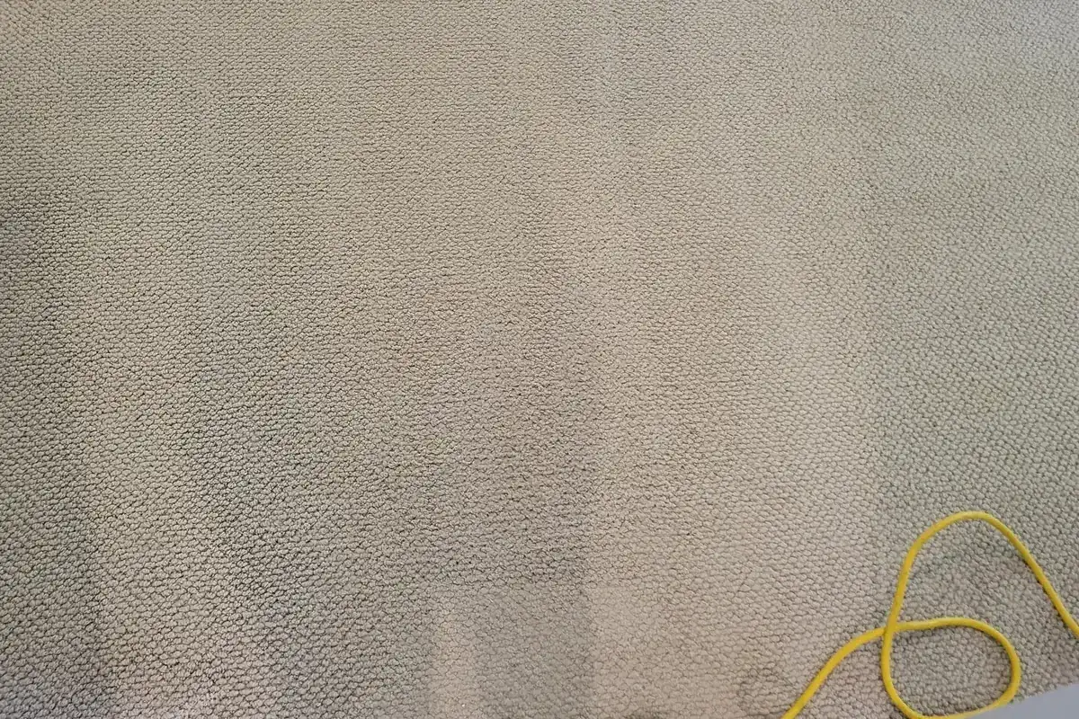 Clean carpet after professional cleaning in Northbrook