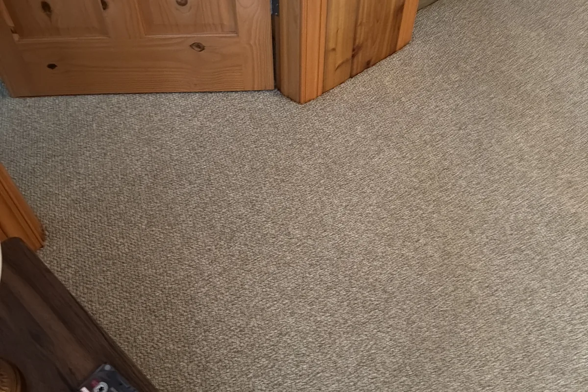Clean carpet after professional cleaning in Bloomingdale