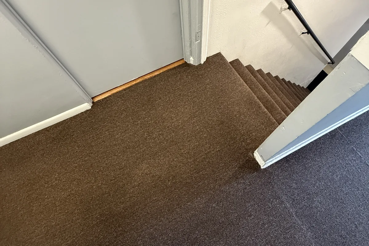 Clean carpet after professional cleaning in Bloomingdale