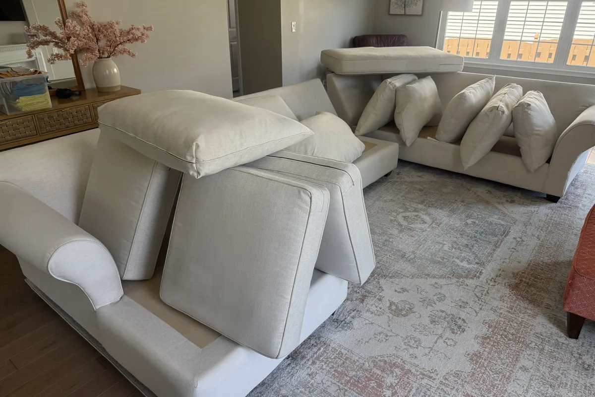 Clean carpet after professional cleaning in Bloomingdale