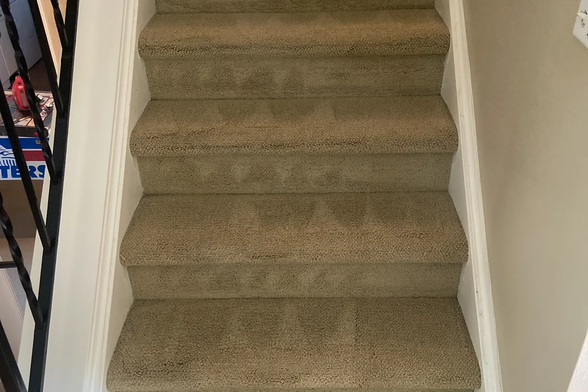 Clean carpet after professional cleaning in Chicago