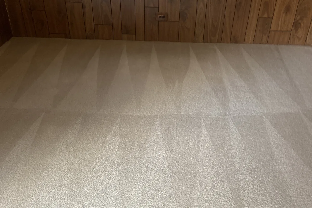 Clean carpet after professional cleaning in Chicago