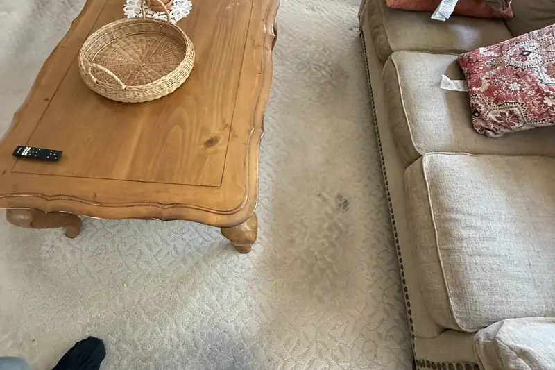 Before: carpet with traffic-lane soiling and spots