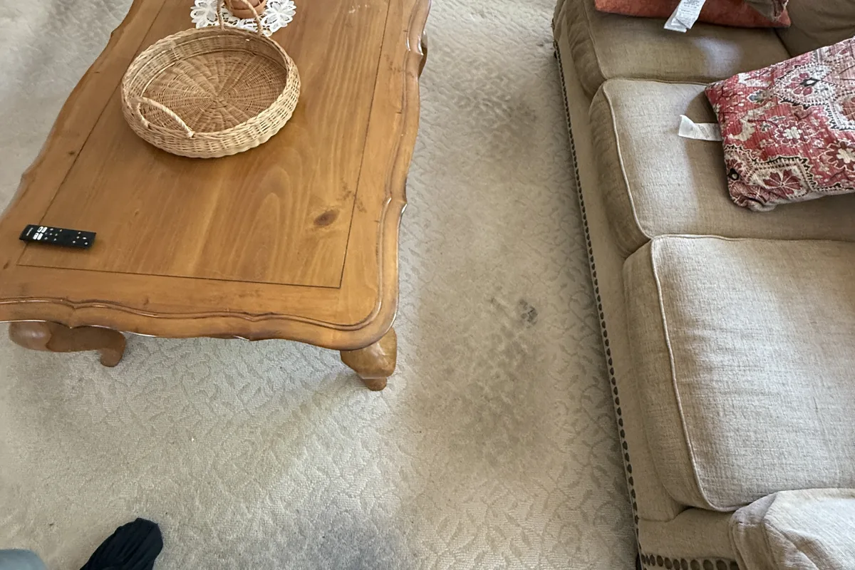 Stained carpet before cleaning in Clarendon Hills