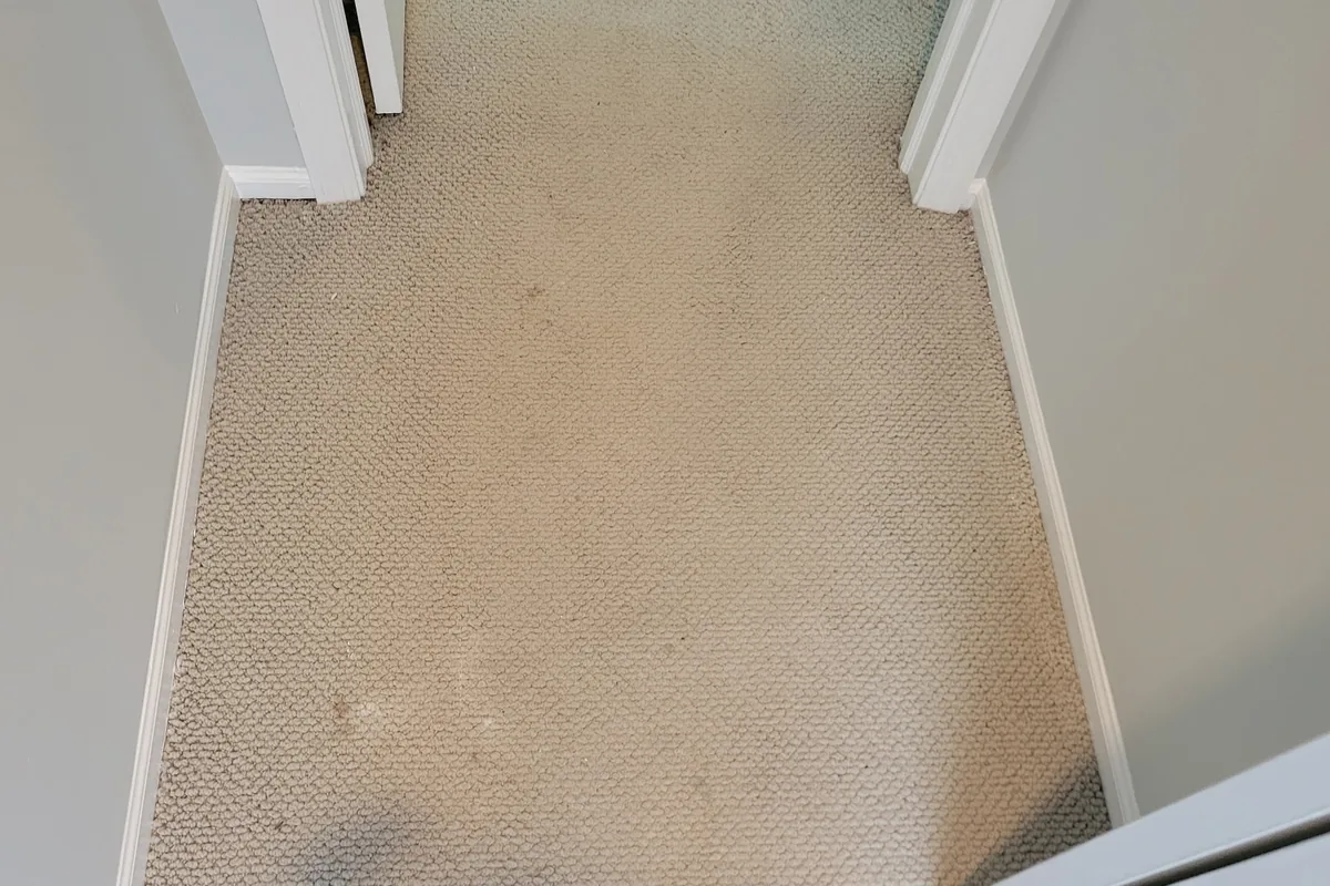 Stained carpet before cleaning in Northbrook