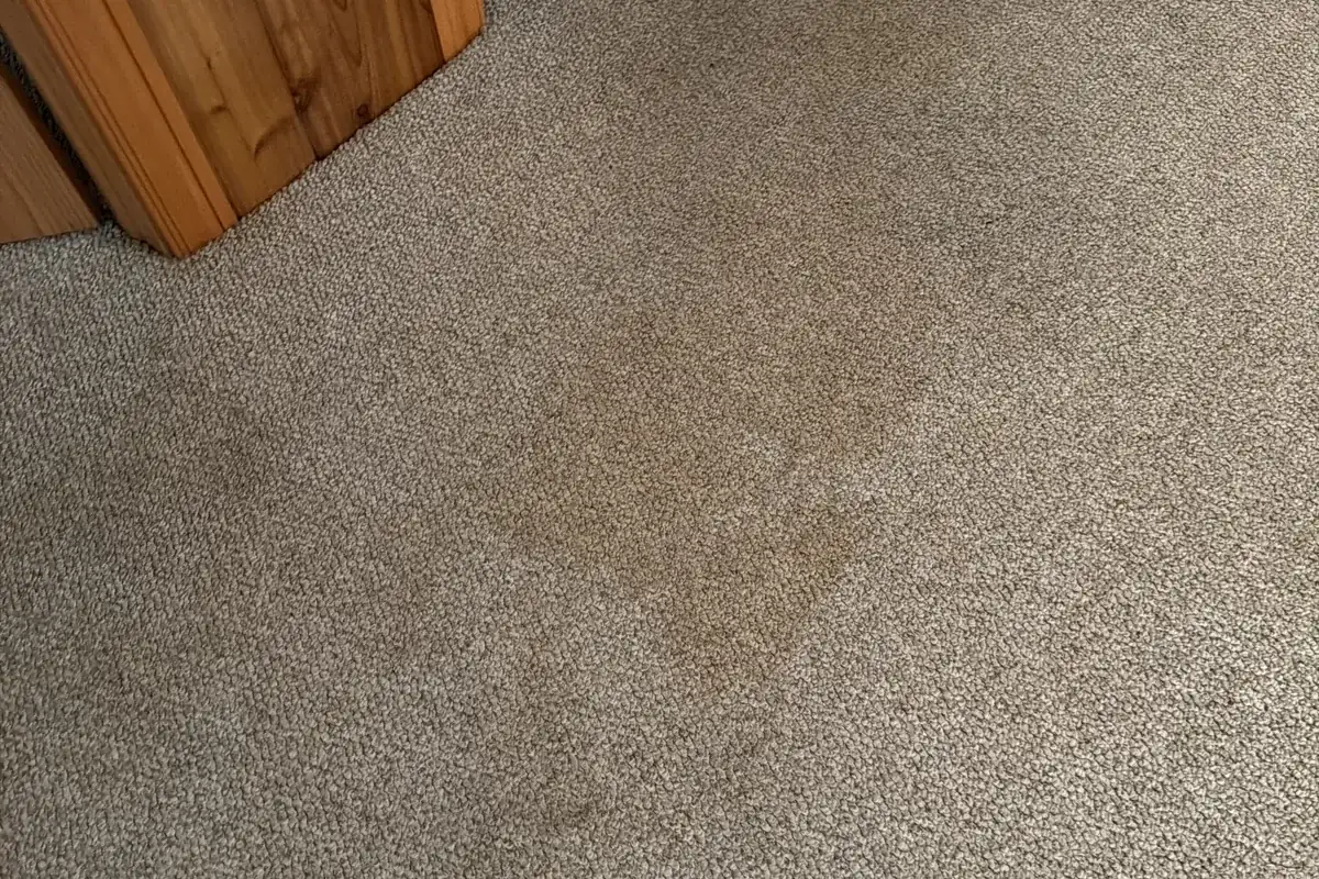Stained carpet before cleaning in Bloomingdale