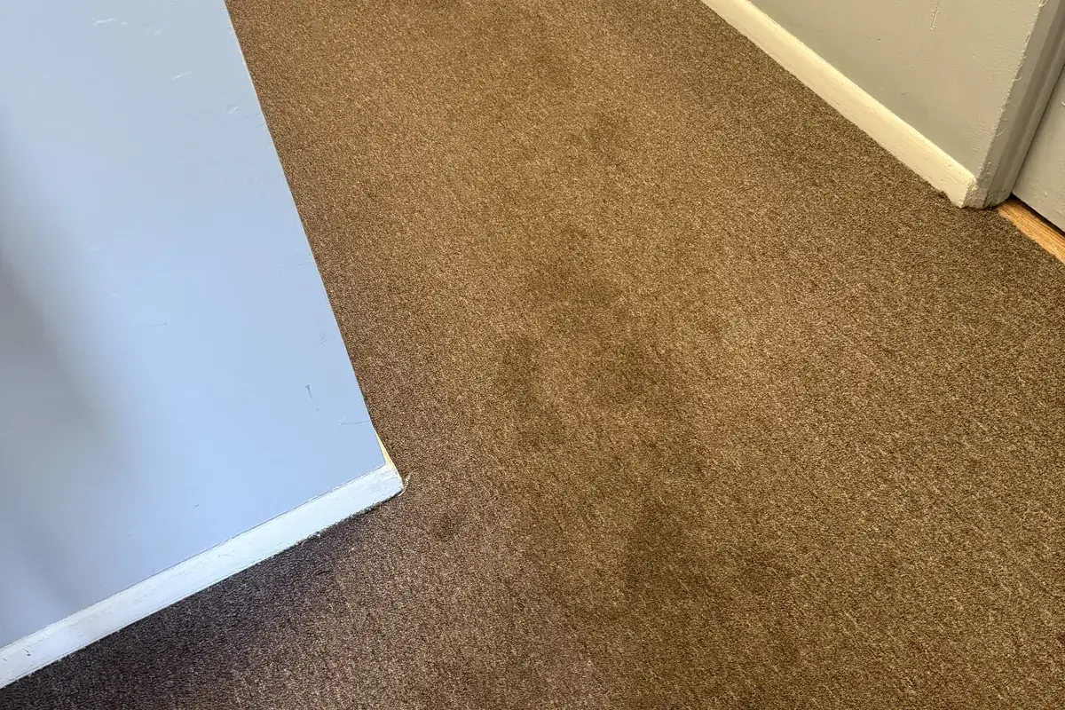 Stained carpet before cleaning in Bloomingdale