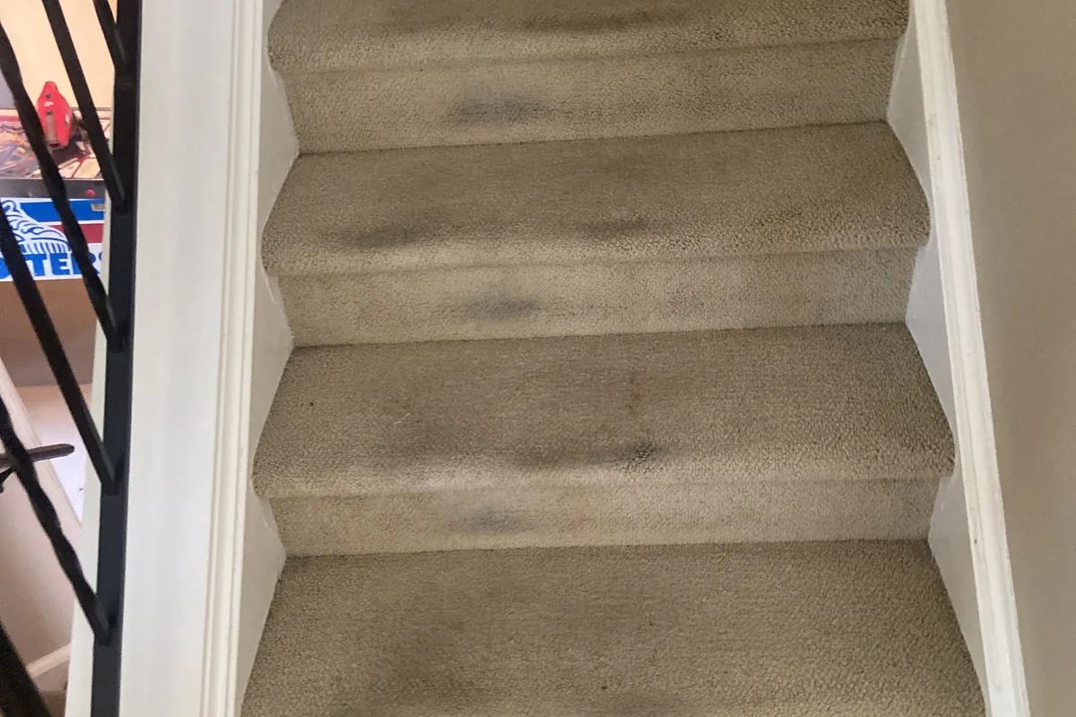 Stained carpet before cleaning in Chicago