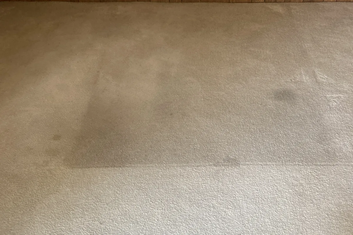 Stained carpet before cleaning in Chicago