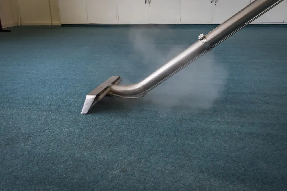 Carpet Cleaning