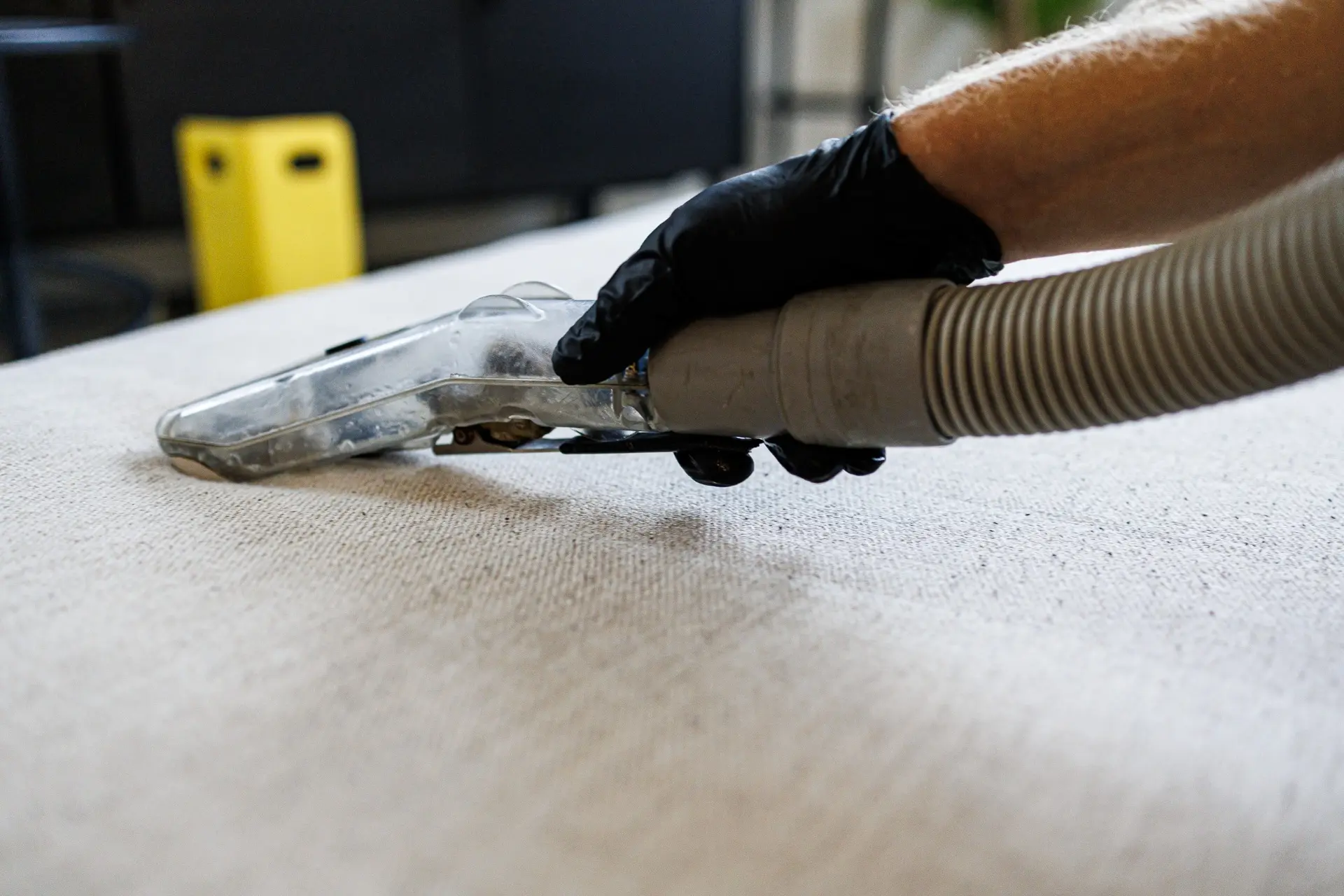 Upholstery Cleaning