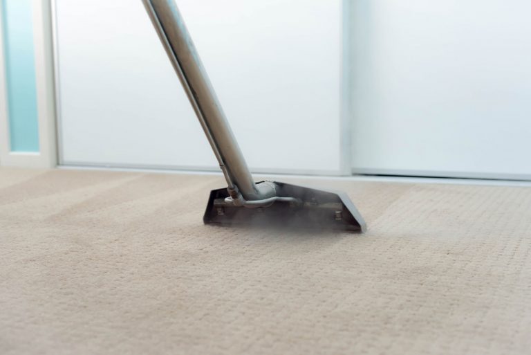 Carpet Cleaning Services in Chicago Area