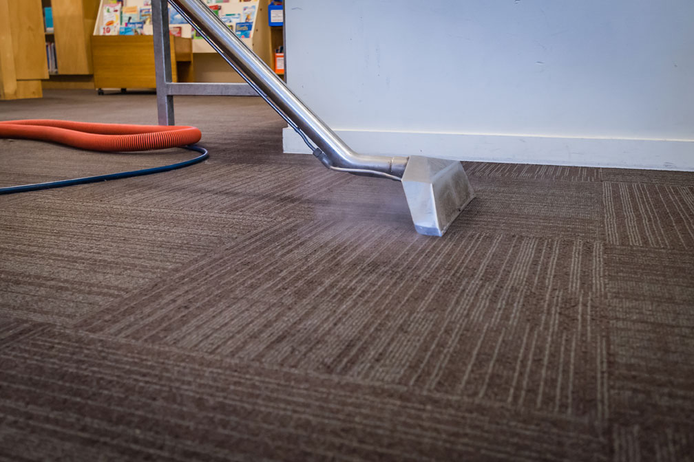 professional carpet cleaning services