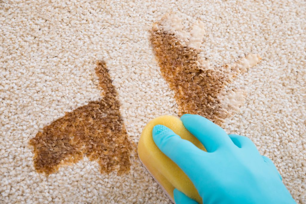 carpet stain spot treatment