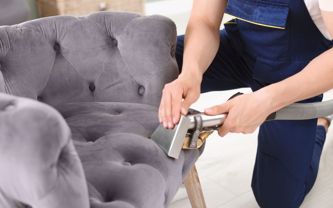 What Is Professional Upholstery Cleaning and What to Expect
