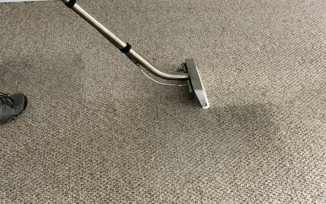 How Often Should a Business Have the Carpets Cleaned