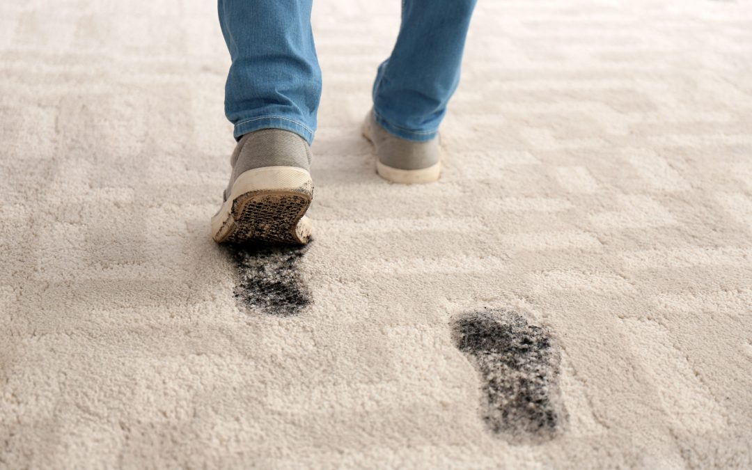 The Difference Between DIY Carpet Cleaning and Professionals