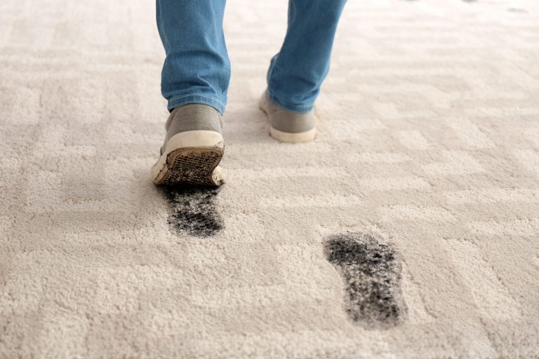 The Difference Between DIY Carpet Cleaning and Professionals