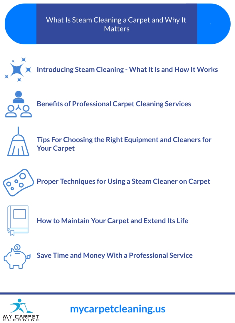 What Is Steam Cleaning a Carpet and Why It Matters