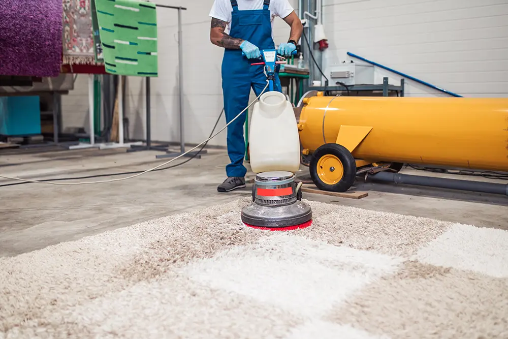 professional cleaning rugs