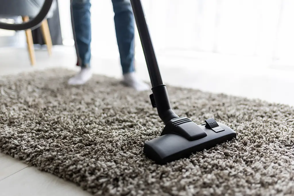 homeowner vacuuming area rug