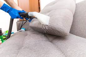 cleaning couch cushions 