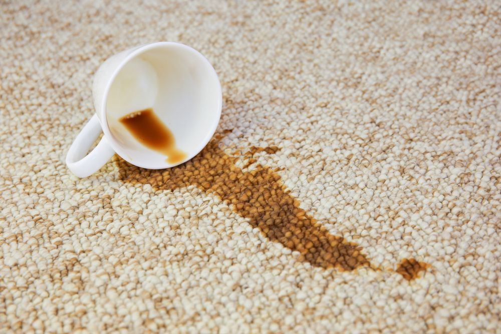 Steps to Take When You Find a Stain on Your Carpet