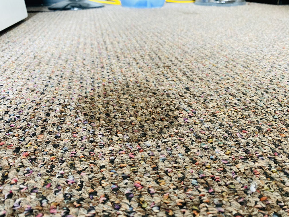 carpet stain, how to identify it
