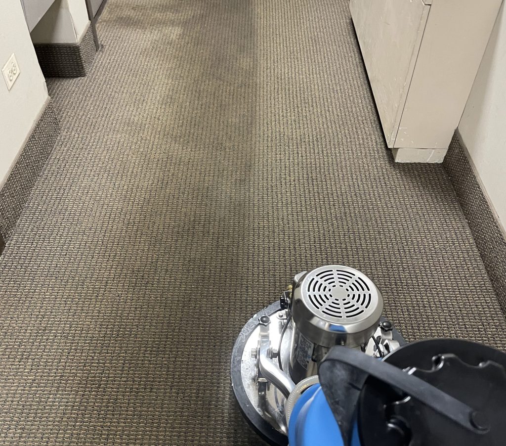 carpet being cleaned using dry cleaning method 
