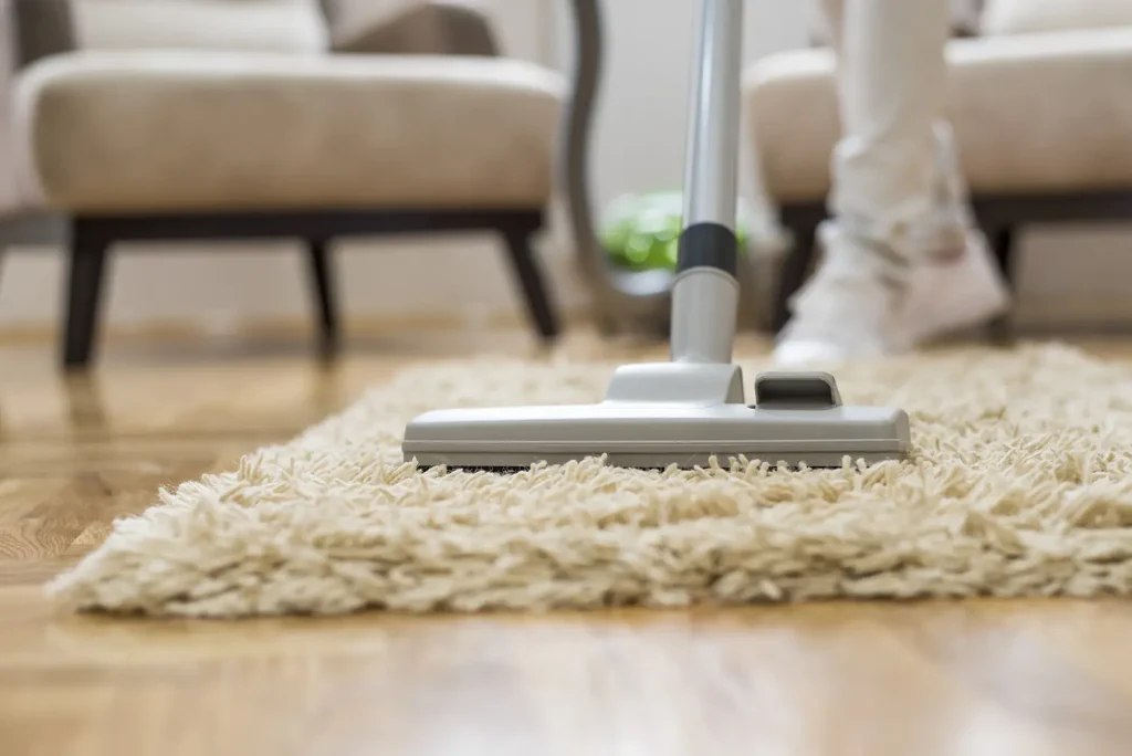area rug cleaning equipment and solutions