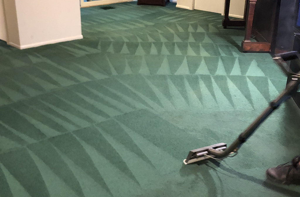 super cool green carpet getting professionally cleaned