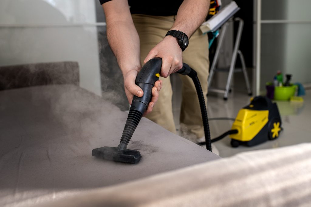 professional home cleaning