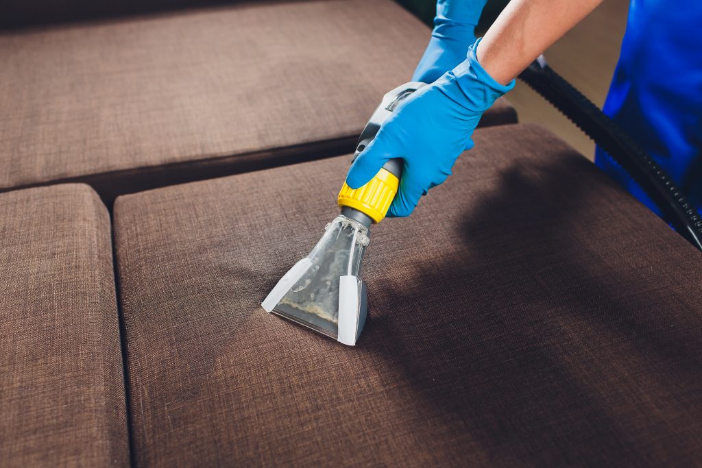 Sofa chemical cleaning with professionally extraction method. 