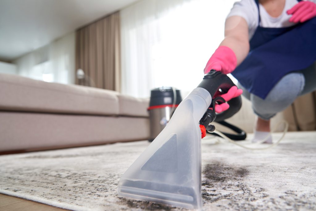 person cleaning a carpet in the living room