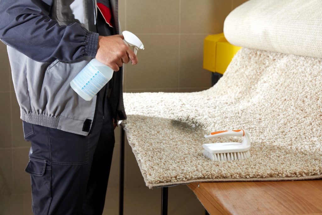 carpet cleaners process by spraying detergent for stain removal