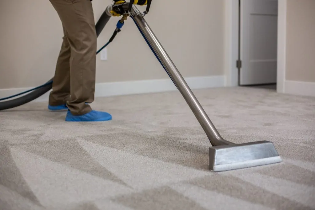 Navigating the Carpet Cleaning Maze: Dry Cleaning vs. Steam Cleaning