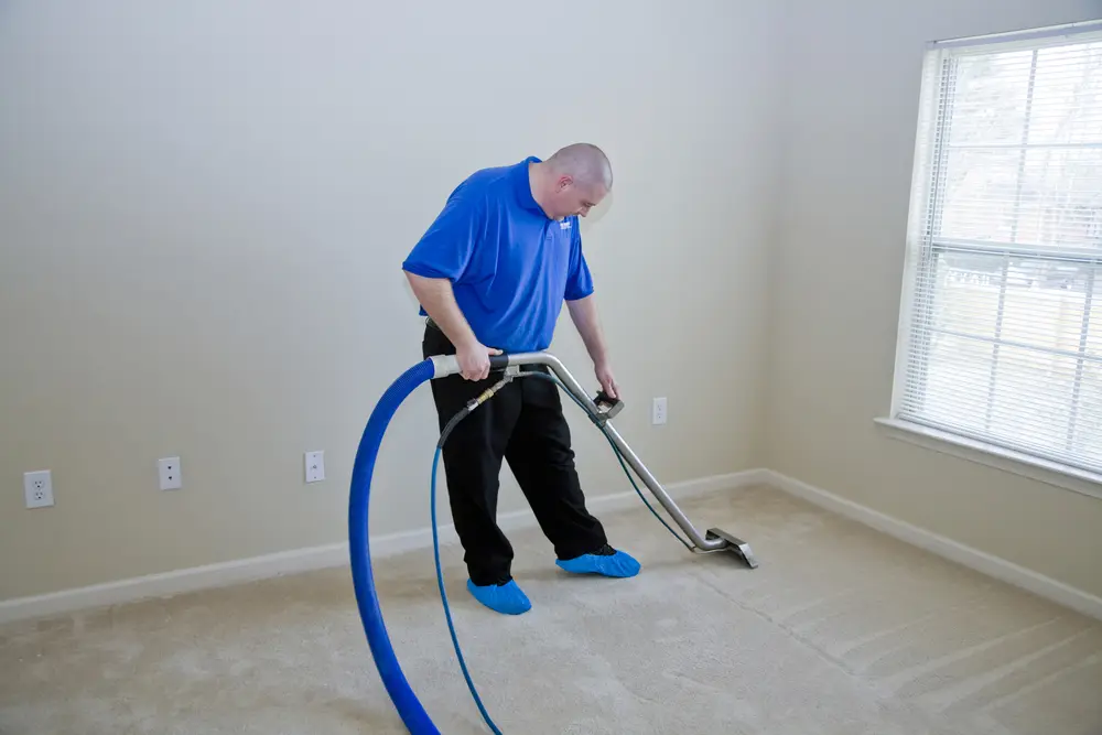 Steam Clean Carpets Before the Holidays
