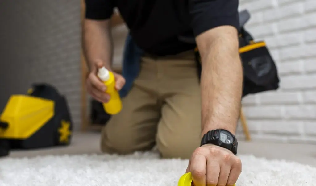 The Truth About Cheap Carpet Cleaners: What You Should Know