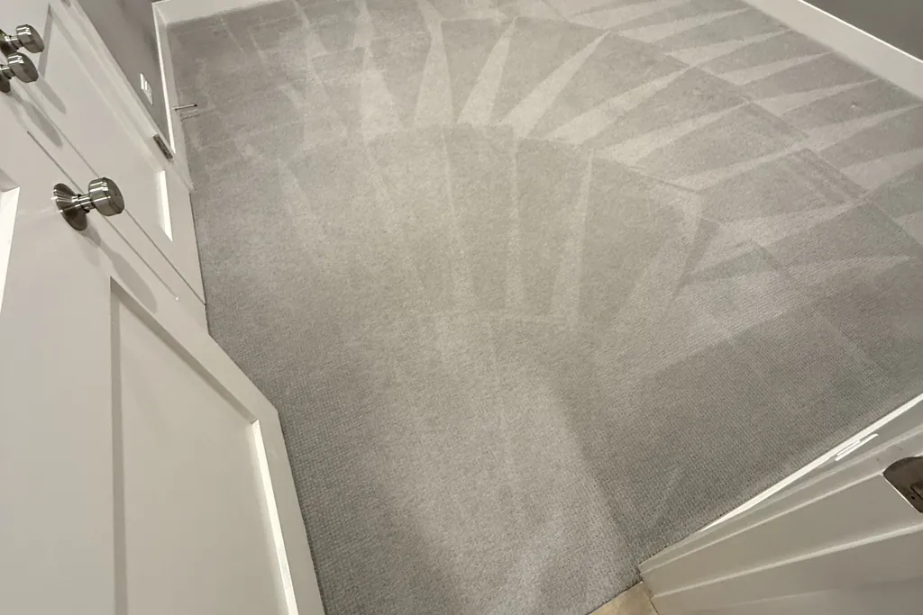 Carpet Cleaning Cost in Chicago: A Real 4-Room Job With Hidden Pet Urine ($330 Case Study)