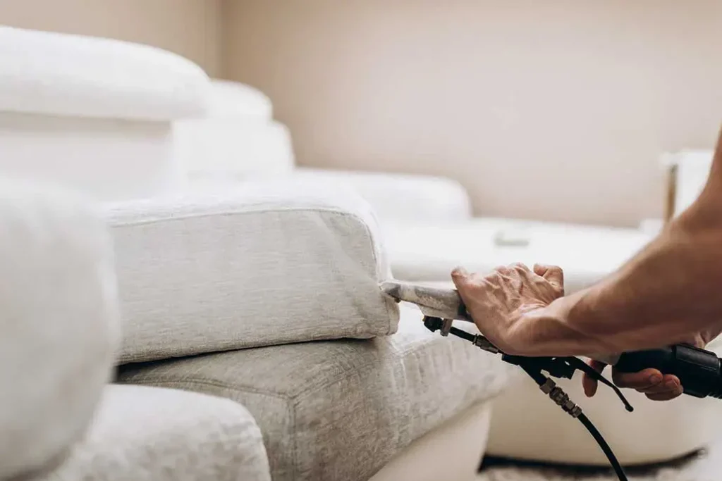Upholstery and Furniture Cleaning