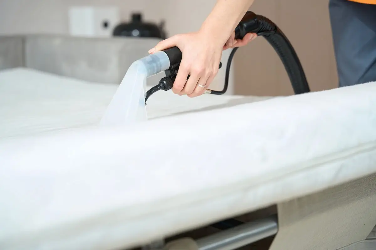 Steam Clean Mattress: Bed Bug Removal
