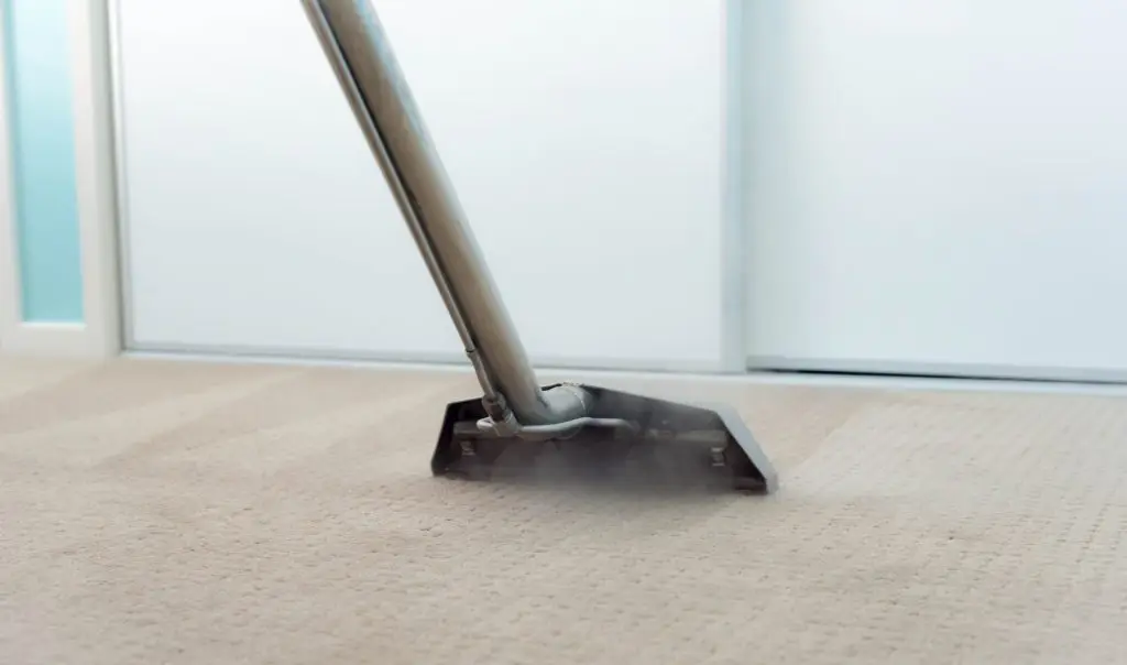 Steam Carpet Cleaning: Not Always Best