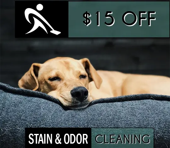 carpet cleaning $15 discount