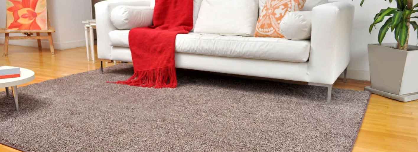 carpet cleaning services