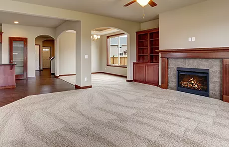 diningroom carpet cleaning