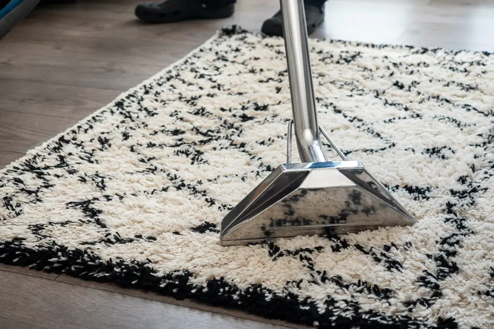man steam cleaning area rug